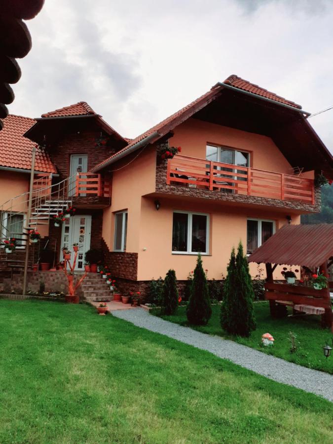 Casa De Oaspeti Cristian Praid Oda fotoğraf