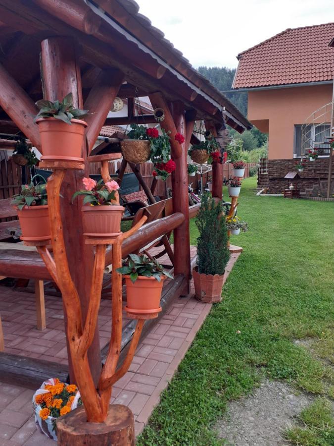 Casa De Oaspeti Cristian Praid Dış mekan fotoğraf