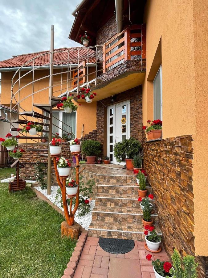 Casa De Oaspeti Cristian Praid Dış mekan fotoğraf