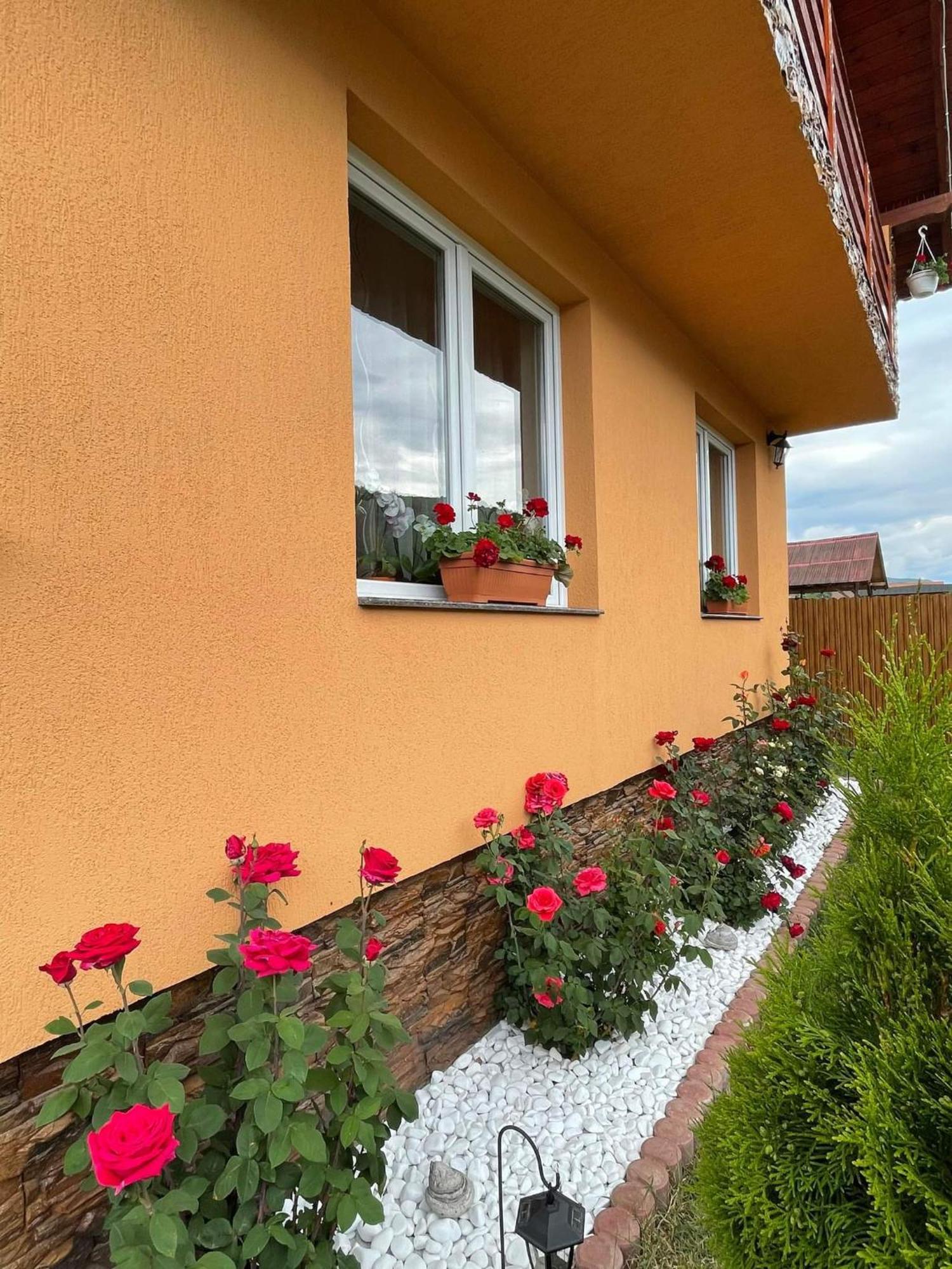 Casa De Oaspeti Cristian Praid Oda fotoğraf